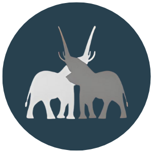 Elephant watch